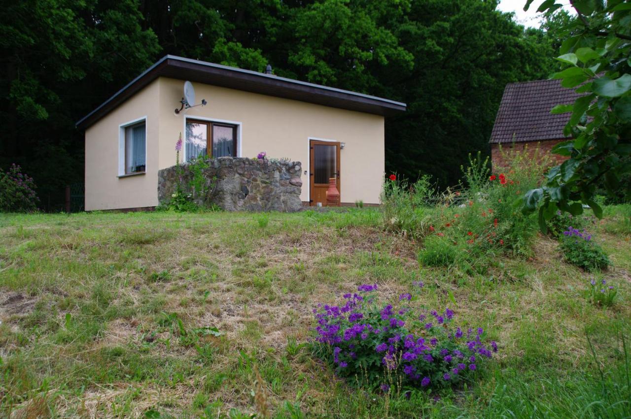 Bungalow Am Forsthaus Stagniess Uckeritz Kültér fotó